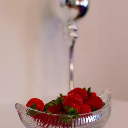 Center Luxury 1 4* 스플리트